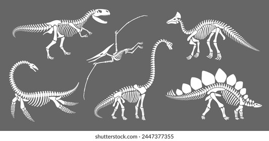 Dinosaur skeleton fossil, dino reptile animal silhouettes. Vector brachiosaurus, stegosaurus, olorotitan, tyrannosaur or trex, elasmosaurus and pterodactyl white ancient reptilian remnant contours set