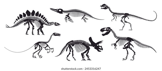 Dinosaur skeleton fossil, isolated dino bones. Vector reptile animal silhouettes. Avaceratops, basilosaurus, stegosaurus, eoraptor, gallimimus, tyrannosaur ancient reptilian prehistoric remnants