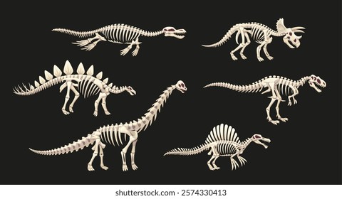 Dinosaur skeleton fossil of Jurassic lizards and prehistoric reptiles, cartoon vector. Prehistoric dinosaur skeletons fossil icons for kids dino atlas or paleontology museum and encyclopedia book