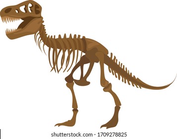 Dinosaur skeleton, illustration, vector on white background