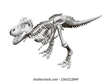 Dinosaur Skeleton Isometric View 3d Vector Stock Vector (Royalty Free ...