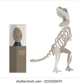 Dinosaur skeleton in museum of history. Dino tyrannosaurus rex and pterodactyl fossils and ancient artifacts at paleontological exhibition. Paleontology archeology science Cartoon vector illustration