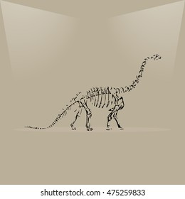 Dinosaur skeleton in a museum lighting  vector illustration