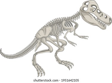 Dinosaur skeleton on white background illustration