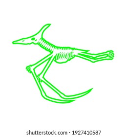 dinosaur skeleton pterodactyl, vector illustration
