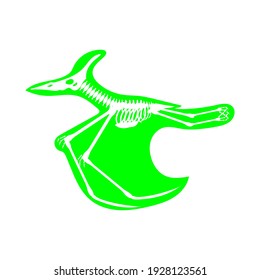 dinosaur skeleton pterodactyl, vector illustration
