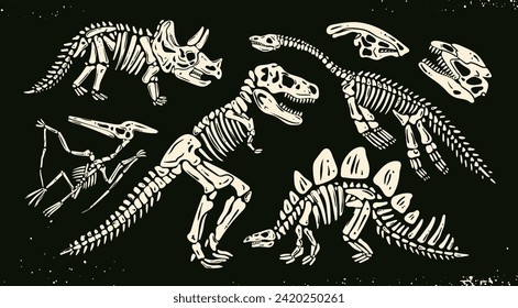 Dinosaur skeleton set. Collection of various bones of prehistoric creatures. Hand drawn modern Vector illustration. Museum, fossil, archaeological finds, paleontology concept. Isolated design elements