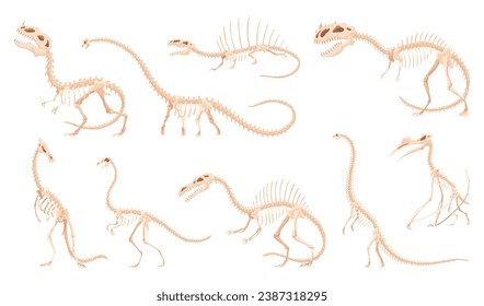 Dinosaur skeleton set. Dino monsters icons. Shape of real animals. Sketch of prehistoric reptiles. Vector illustration isolated on white. Hand drawn sketches