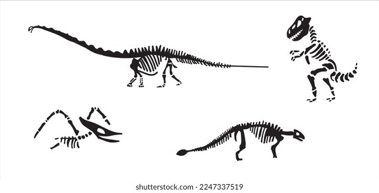 Dinosaur skeleton set diplodocus, triceratops, t-rex, stegosaurus, parasaurolophus etc.