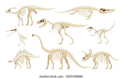 Dinosaur skeleton set vector illustration. Collection dino skeletons, dinosaurs, fossils side view isolated. Different kinds of antique animals skull and bones. Ancient creature monsters museum