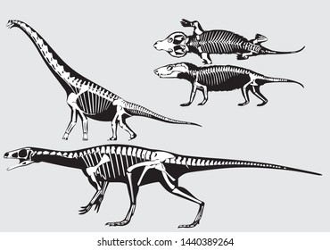 Dinosaur skeletons. Black and white vector.