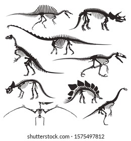 Dinosaur skeletons isolated icons, prehistoric animals bones vector. Velociraptor and diplodocus, triceratops and tyrannosaurus, pterodactyl and stegosaurus. Spinosaurus and coelophysis, dilophosaurus