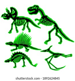 dinosaur skeletons set, vector illustration