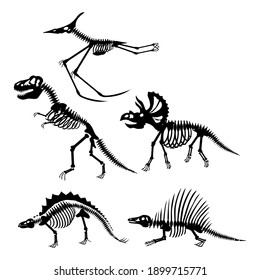 dinosaur skeletons set, vector illustration