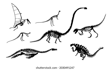 Dinosaur skeletons silhouettes. Big set of dinosaur skeletons. Archeology exhibition.Vector illustration