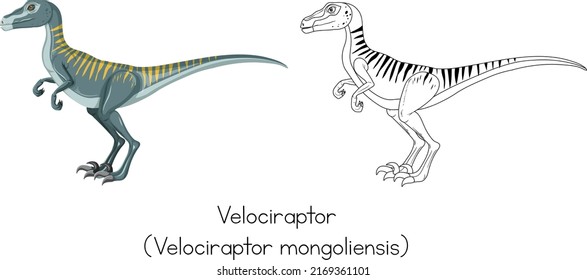 Dinosaur sketching of velociraptor illustration