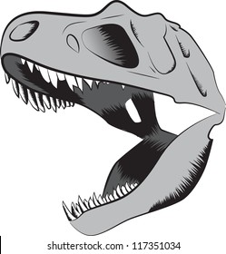 Dinosaur Skull