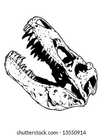 dinosaur skull