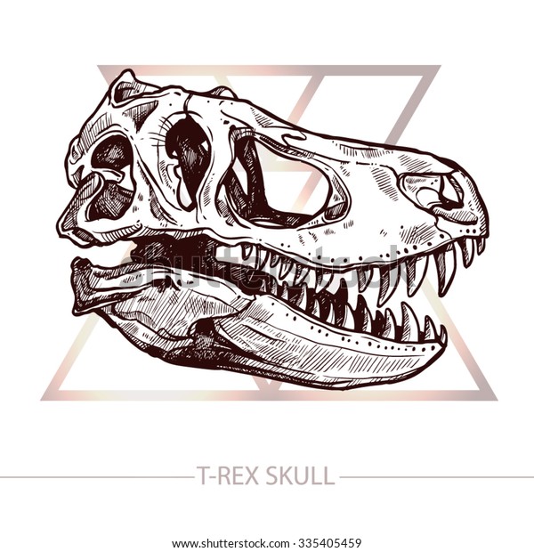 Dinosaur Skull Drawing Trex Skull Stock Vector (Royalty Free) 335405459