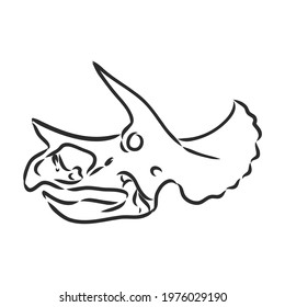 Dinosaur Skull. Drawing Of T-Rex Skull dinosaur skeleton vector