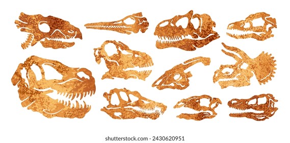 Dinosaur skull fossil set. Dino head with teeth. Bone skeleton footprint. Dead prehistoric  Jurassic dino skull. Dinosaur Tyrannosaurus Rex Triceratops  Stegosaurus Spinosaurus. Paleontology fossil