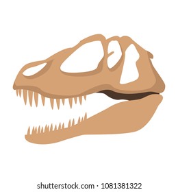 Dinosaur skull isolated