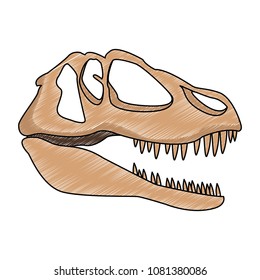 Dinosaur skull isolated scribble