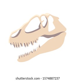 dinosaur skull on white background vector illustration design
