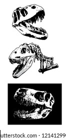 Dinosaur skull vector