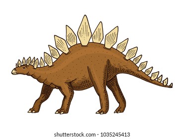 Dinosaur Stegosaurus, fossils. Prehistoric reptiles, Animal engraved Hand drawn vector.
