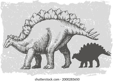 Dinosaur stegosaurus grafic hand drawn and silhouette illustration