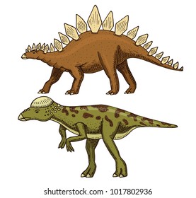 Dinosaur Stegosaurus, Pachycephalosaurus, Lexovisaurus, skeletons, fossils. Prehistoric reptiles, Animal engraved Hand drawn vector.