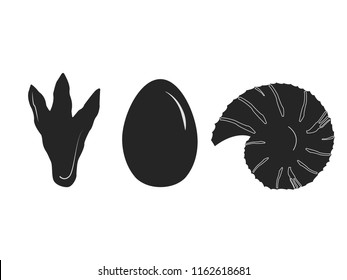 Dinosaur track, dinosaur egg and ammonite