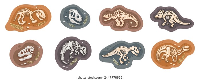 Dinosaur vector illustrations set. Bones or skeletons