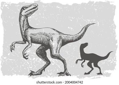 
Dinosaur velociraptor grafic hand drawn and silhouette illustration