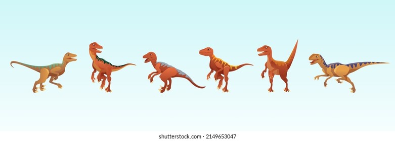 The dinosaur is a velociraptor. Vector illustration of a prehistoric predatory dinosaur isolated on a white background.Six different dinosaur poses Side view, profile.Cartoon style illustration
