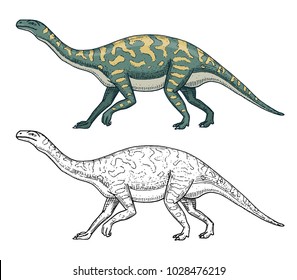 Dinosaurs Barosaurus, Apatosaurus, Tenontosaurus Plateosaurus, broad lizard, Massospondylus, Diplodocus, Brachiosaurus, skeletons, fossils. Prehistoric reptiles, Animal Hand drawn vector