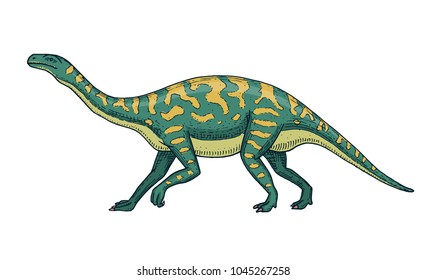 Dinosaurs Barosaurus, Apatosaurus, Tenontosaurus Plateosaurus, broad lizard, Massospondylus, Diplodocus, Brachiosaurus, skeletons, fossils. Prehistoric reptiles, Animal Hand drawn vector