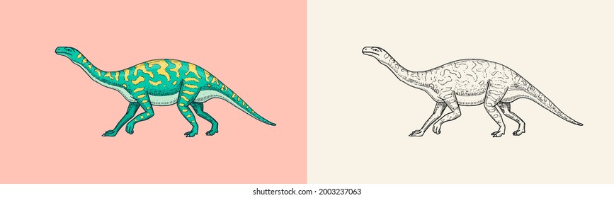 Dinosaurs Barosaurus, Apatosaurus, Tenontosaurus Plateosaurus, broad lizard, Massospondylus, Diplodocus, fossils. Prehistoric reptiles, Animal. Engraved vintage Hand drawn sketch for t-shirt print