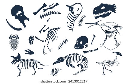 Dinosaurs bones, skeletons and skulls fossils set. Ancient creature monsters silhouette prehistoric archaeological footprint vector illustration