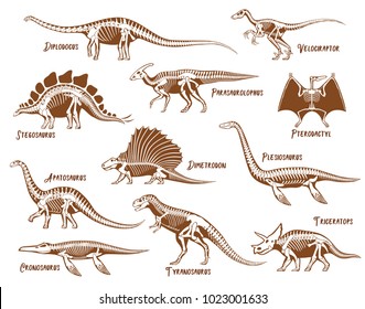 Dinosaurs decorative icons set with description text in hand drawn style isolated vector illustration 