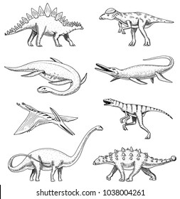 Dinosaurs elasmosaurus, mosasaurus, barosaurus, diplodocus, pterosaur, ankylosaurus, triceratops, fossils, winged lizard American Prehistoric reptiles Jurassic Animal engraved Hand drawn vector