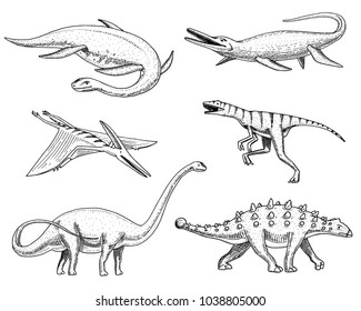 Dinosaurs Elasmosaurus, Mosasaurus, Barosaurus, Diplodocus, Pterosaur, Ankylosaurus, Velociraptor, fossils, winged lizard. American Prehistoric reptiles, Jurassic Animal engraved Hand drawn vector.