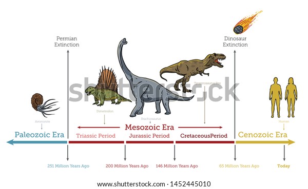 Dinosaurs Extinction infographic diagram showing\
paleozoic mesozoic cenozoic eras and dinosaurs periods including\
triassic jurassic cretaceous million years ago for geology science\
education - Vector