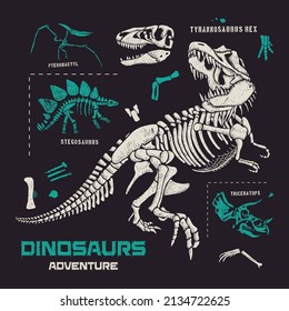 Dinosaurs fossils  