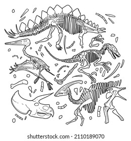 Dinosaurs fossils isolated on a white background. Prehistoric world. Vector line graphics for coloring books