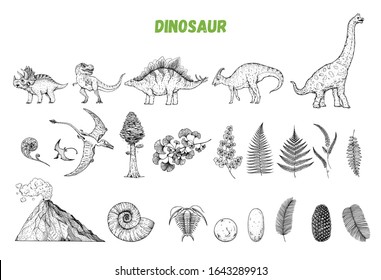 Dinosaurs hand drawn sketch. Vector illustration. Jurassic period. Herbivorous and carnivorous dinosaur. Hand drawn collection.