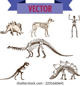 Dinosaurs and Jurassic dino monsters icons. Vector silhouette of triceratops or T-rex, brontosaurus or pterodactyl and stegosaurus, pteranodon or ceratosaurus and parasaurolophus reptile