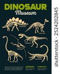 Dinosaurs museum poster with prehistoric dino fossils and skeletons of Stegosaurus, Brachiosaurus, Pterodactyl and Tyrannosaurus species. Vector vintage flyer invites to explore ancient creatures