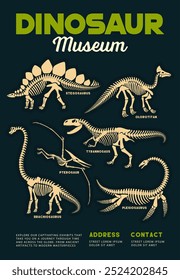 Afiche del museo de dinosaurios con fósiles prehistóricos de dinosaurios y esqueletos de especies de Stegosaurus, Brachiosaurus, Pterodactyl y Tyrannosaurus. Volante vintage de Vector invita a las criaturas Explore de la antigüedad